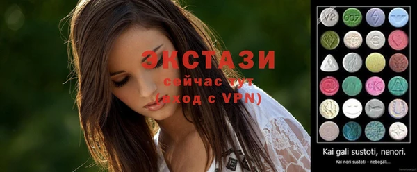 амф Ельня
