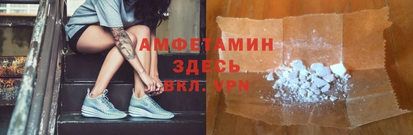 амф Ельня
