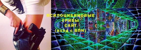 амф Елабуга