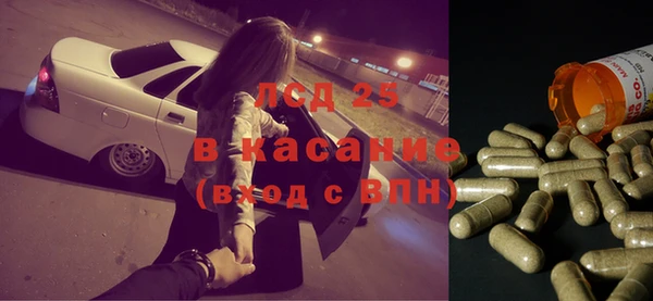 ГАЛЛЮЦИНОГЕННЫЕ ГРИБЫ Елизово