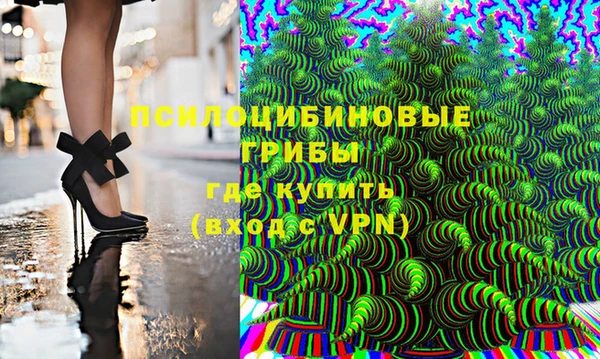 ГАЛЛЮЦИНОГЕННЫЕ ГРИБЫ Елизово
