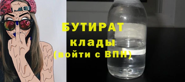 амф Ельня