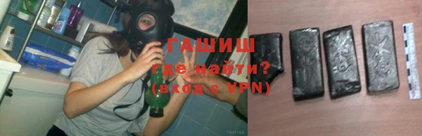 амф Ельня