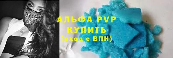 амф Ельня