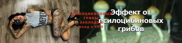 ГАЛЛЮЦИНОГЕННЫЕ ГРИБЫ Елизово
