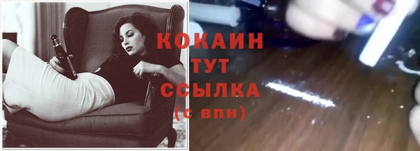 амф Ельня