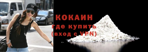 амф Ельня