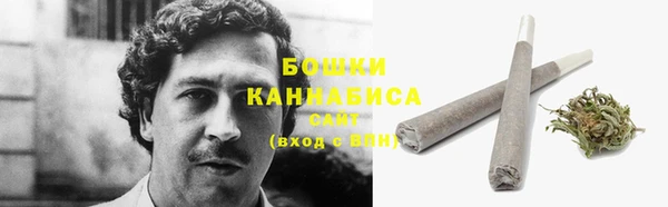 амф Ельня
