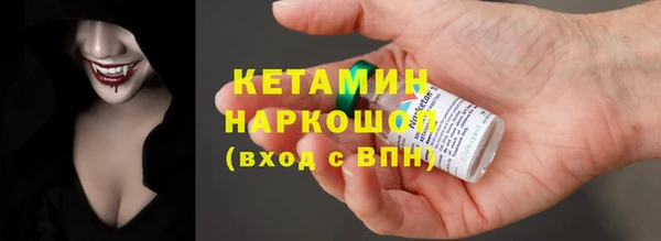 амф Ельня