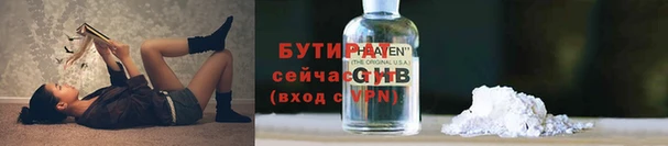 амф Ельня