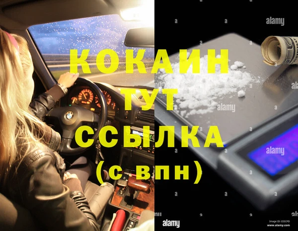 амф Ельня