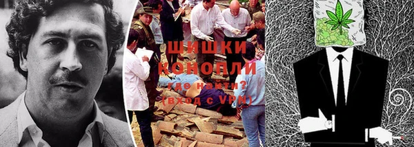 ГАЛЛЮЦИНОГЕННЫЕ ГРИБЫ Елизово