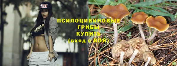 амф Елабуга