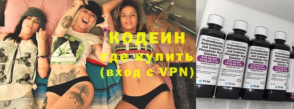 амф Ельня