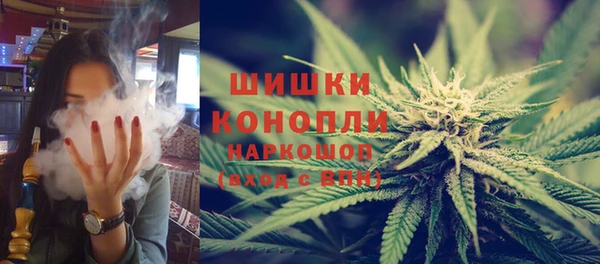 ГАЛЛЮЦИНОГЕННЫЕ ГРИБЫ Елизово
