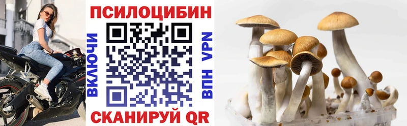 Купить где Карабаново Галлюциногенные грибы Magic Shrooms